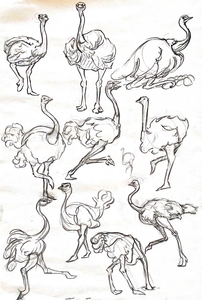Drawing — view 12