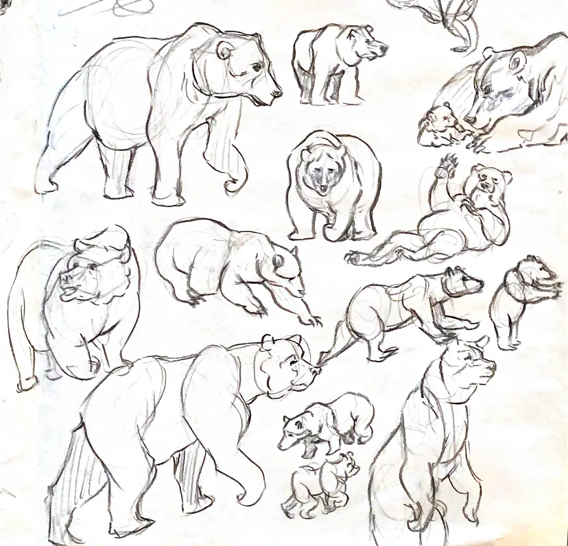 Drawing — view 10